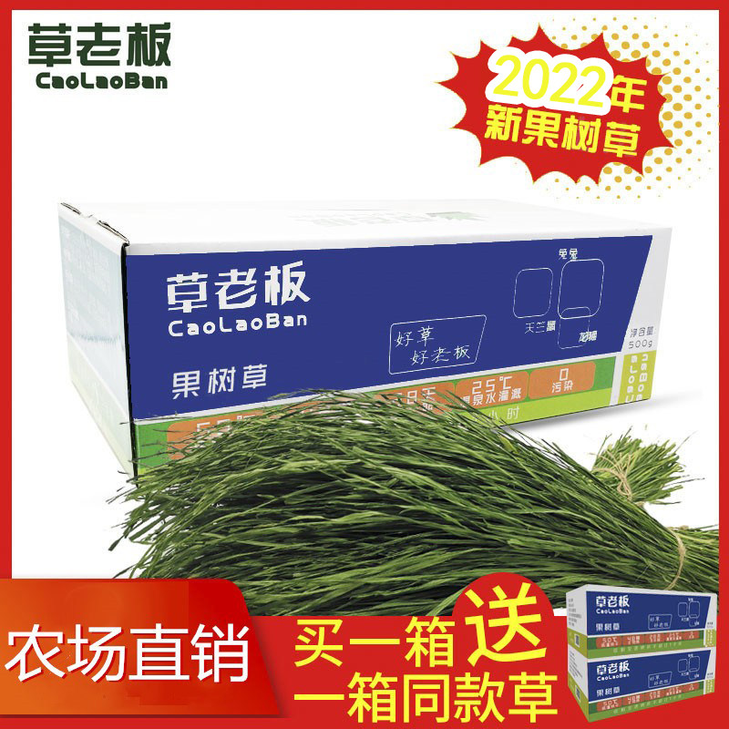 Grass boss fruit tree grass 500g*2 boxes high fiber pasture drying grass small pet young rabbit chinchilla guinea pig guinea pig