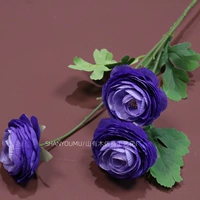 Розовый 3-головый лотос-фиолетовый синий