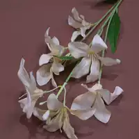 Цвет jialan flame-orchamd-campagne