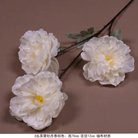 Розовый гибискус пион шампанский цвет