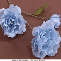 Corbal Black Fairy Peach Peony-Blue