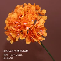 Одинокий цветочный крупный гидрангея-оранжевый