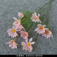 五头雏菊—粉色 满5枝包邮
