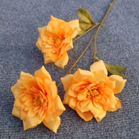 Фиолетово-красная 3 элегантная королева-оранж