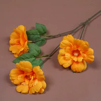 Оранжевый 3 головы фенган апельсин