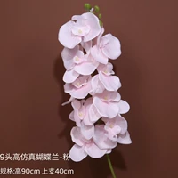 9 высокого моделирования Phalaenopsis-Pink