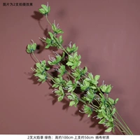 Розовый, зеленый