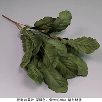 Листья красного зеленого листья темно -зеленые