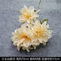 Кремовый, белый, орхидея, цвета шампанского