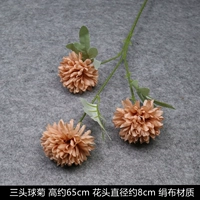 Коричневый 3 заголовка Chrysanthemum цвет