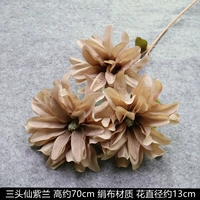 Голубая фея фиолетовая кофе цвет