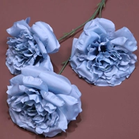 Цветочный цвет 3 Big Rose Haze Blue