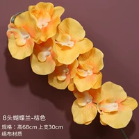 8 Phalaenopsis-Orange