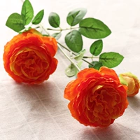 Orange 5 БЕСПЛАТНАЯ ДОСТАВКА ДВУЙКИ ДВУХ И ОДИН ГОЛОВА