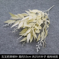 Шампанское цветовое ручка луча ивы лист