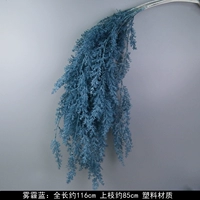 Оранжево-красные висящие рисовые уши с синим цветом