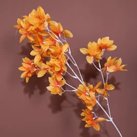 Потолок Лили-Оран