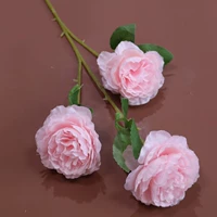 Серый три больших пион -розовый