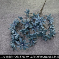 Любовь Орхидея дымка голубой