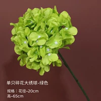 Одиночная крупная цветочная гортензия-зеленая