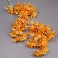 Снежный сакура-оранж