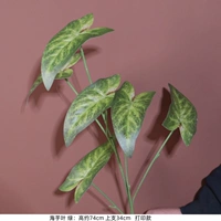 Акала листья зеленых