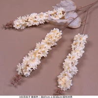 Прозрачный костюм-хампанский цвет