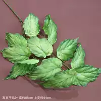 Листья перечисления#1