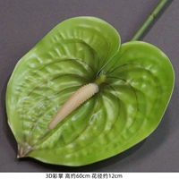 3D-консервирование пальм зеленый