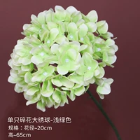 Гортензия одиночная крупная цветочная, светло-зеленая.