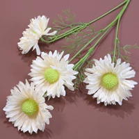 Серебро 4 Cordyceps-Champagne