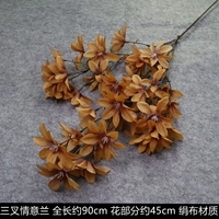 Любовь Орхидея-Каузале