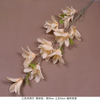 Кофе 3 вилка ветер и дождь-орхидея-хампань