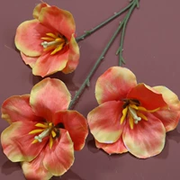 Желтый 3 тюльпано-оранжевого