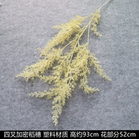 Цвета шампанского