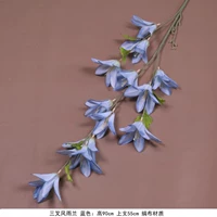 Новый продукт ветер и дождевая орхидея небо голубой