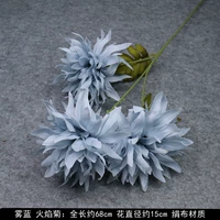 Арбуз красный пламя хризантема-синий