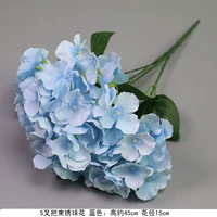 Тибетский синий пентаграмма букет гордюя синяя