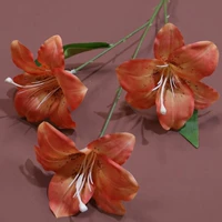 Оранжевая красная травянистая лилия темно-оранжево-оранже