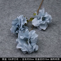 Роза Красный 3 Этеболический Смог Блю