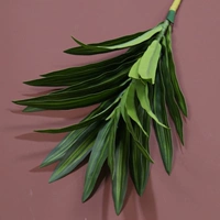 Лили бамбук - зеленый