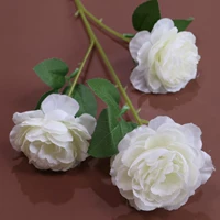 Апельсиновый красный три больших пиона белый