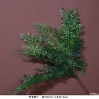 Принесите листья папоротника темно -зеленые