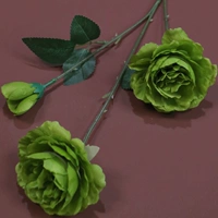 Зеленый пион зеленый