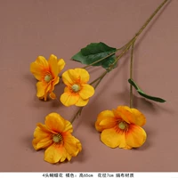 Тибетская 4 -хеда