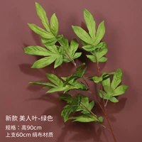 Новый великий лист красоты зеленый