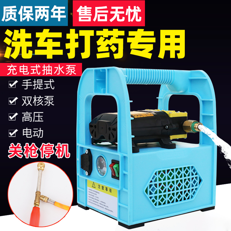 Electric sprayer agricultural portable self-priming drug spraying car washing machine household watering flowers and vegetables outdoor rechargeable pump