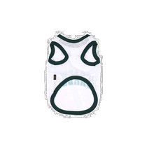 Korean direct mail BSRABBIT fashionable ski sports trendy brand versatile fashion shirt 2623495