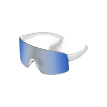 Korean direct mail wtd universal sunglasses