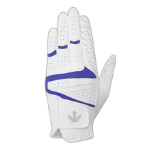 Korean direct mail descente golf gloves